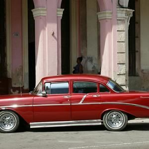 Meet your Posher, Jake